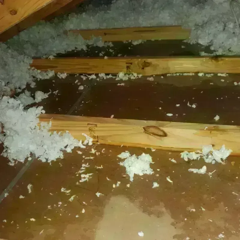 Attic Water Damage in Central Falls, RI